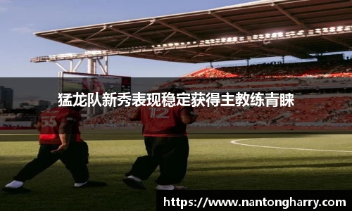 HAHABET网址