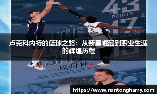 HAHABET网址
